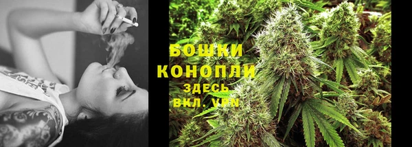 мдпв Няндома