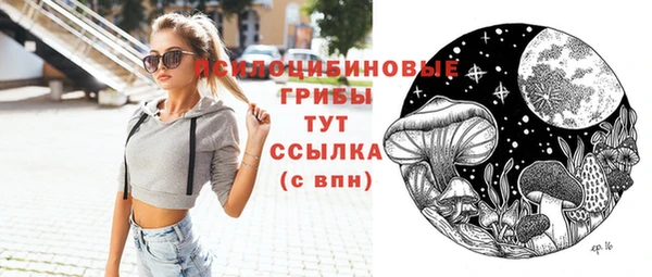 мдпв Няндома