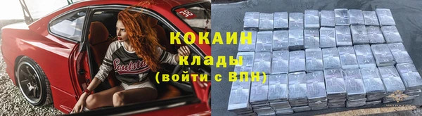 мдпв Няндома